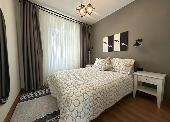 Sahin Pera Suit2 Great Location 2 Bedroom Air-conditioned 伊斯坦布尔
