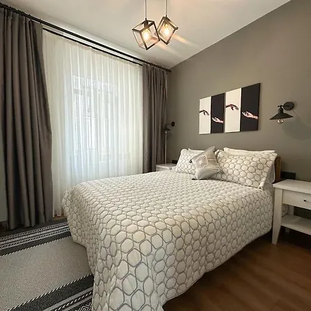 Sahin Pera Suit2 Great Location 2 Bedroom Air-conditioned イスタンブール